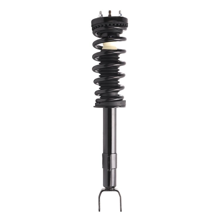 Strut Assembly