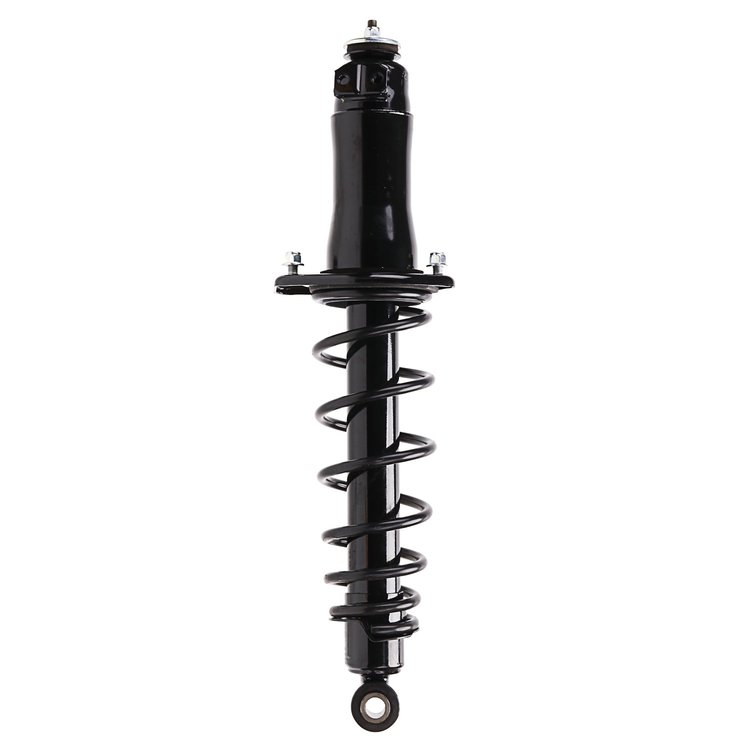 Strut Assembly