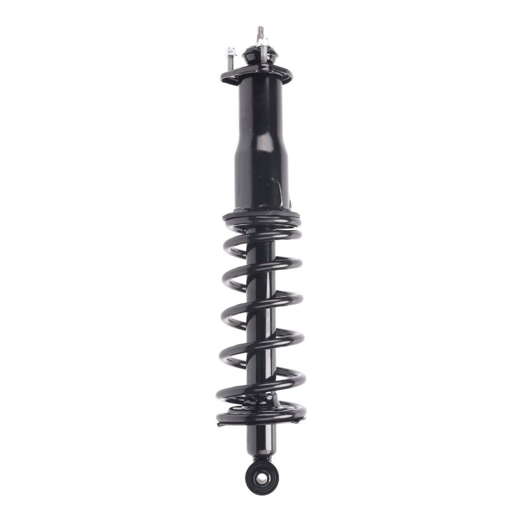 Strut Assembly