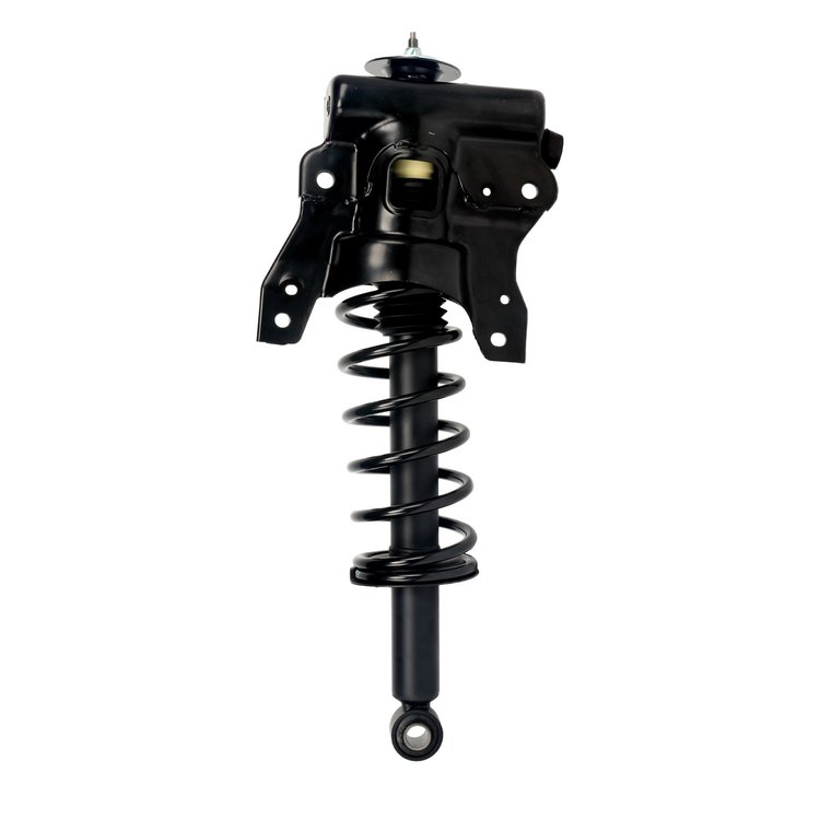 Strut Assembly