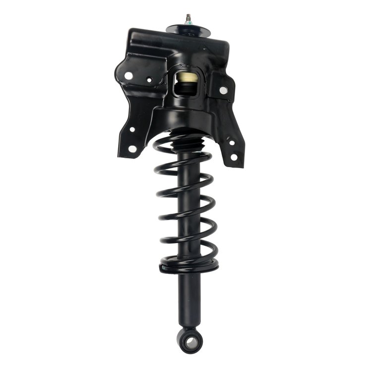 Strut Assembly