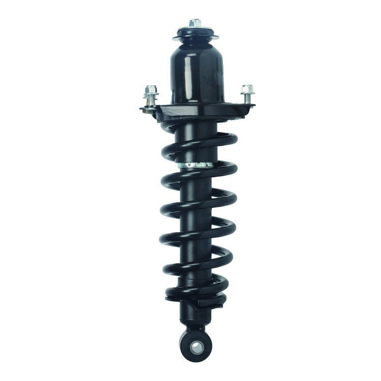 Strut Assembly