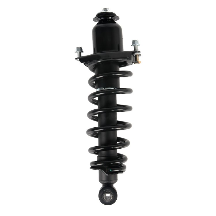 Strut Assembly