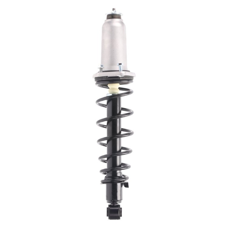 Strut Assembly