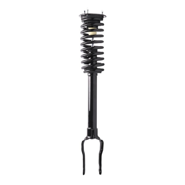 Strut Assembly