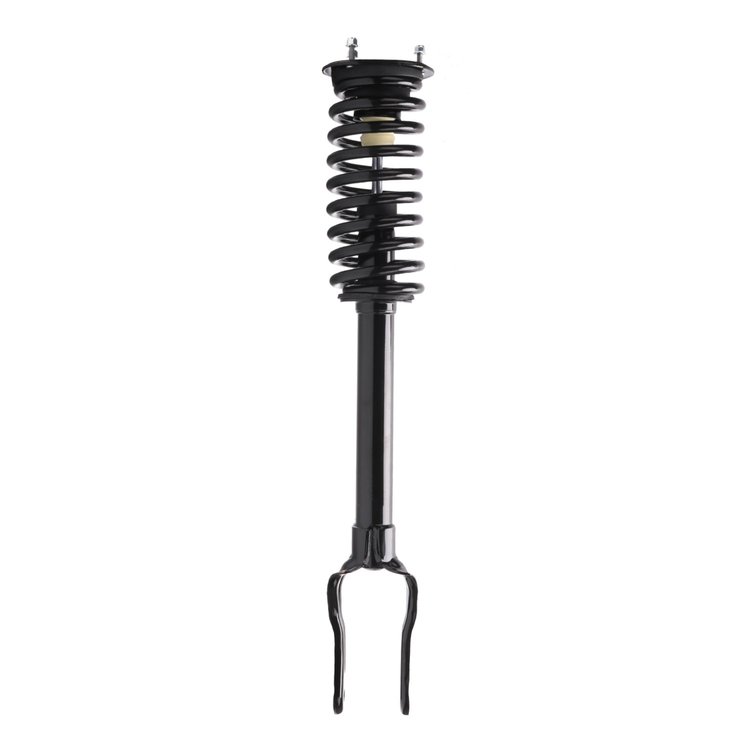 Strut Assembly