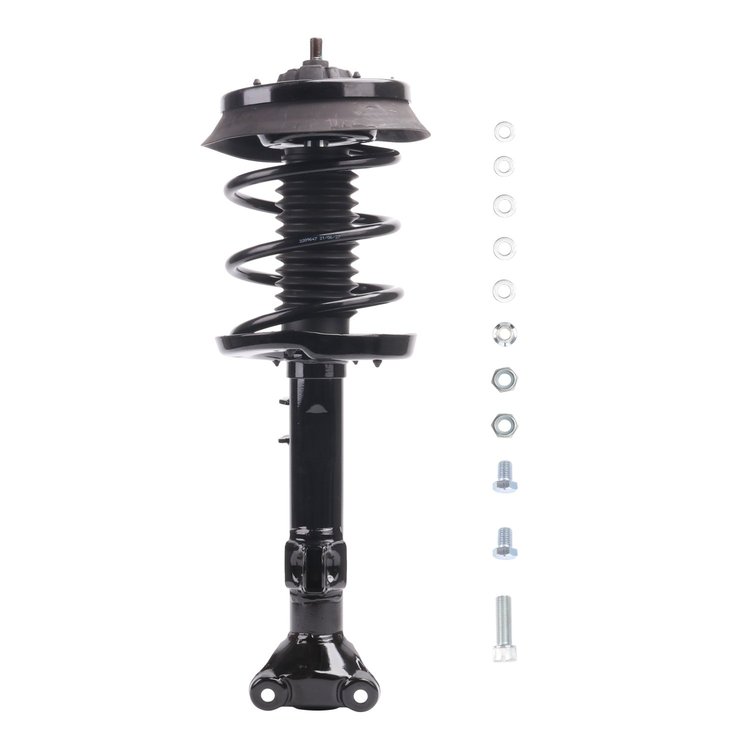 Strut Assembly