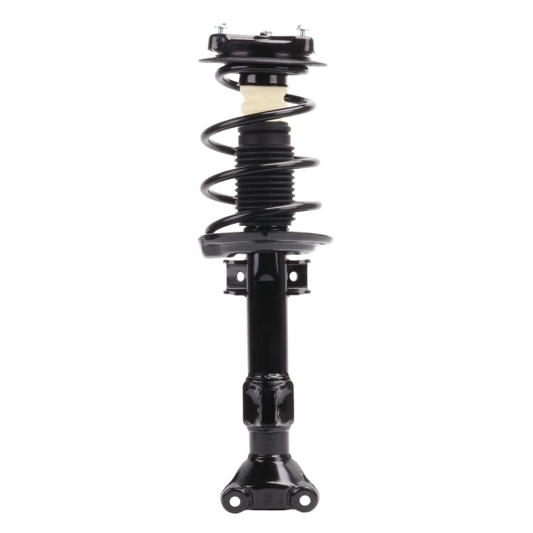Strut Assembly