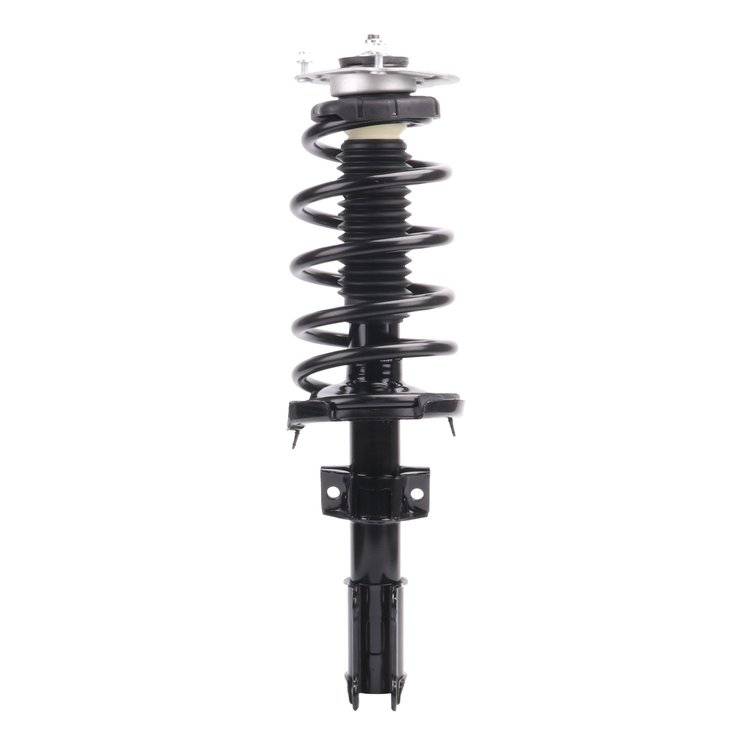 Strut Assembly