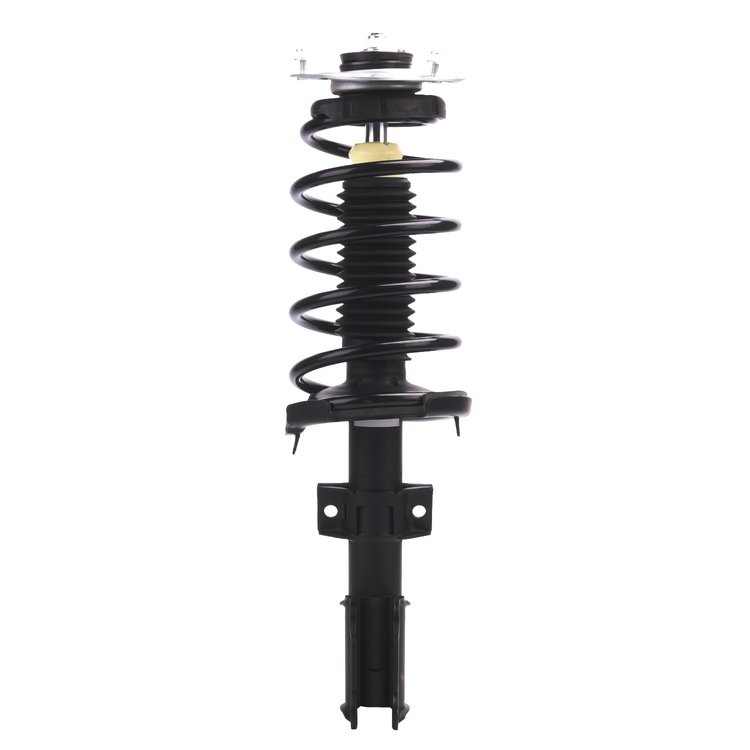 Strut Assembly