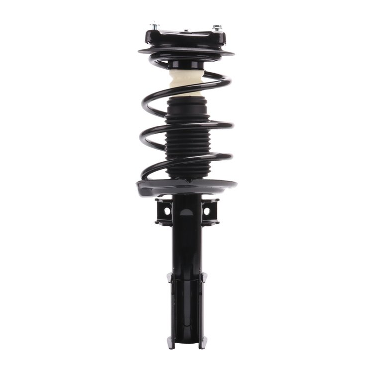 Strut Assembly