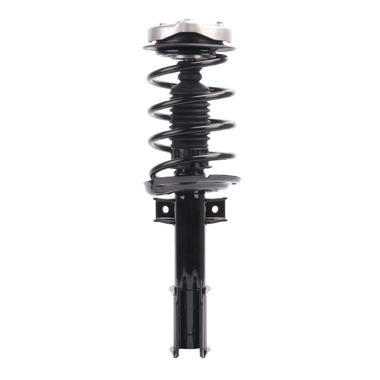 Strut Assembly