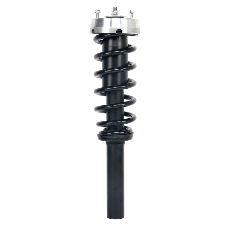 Strut Assembly