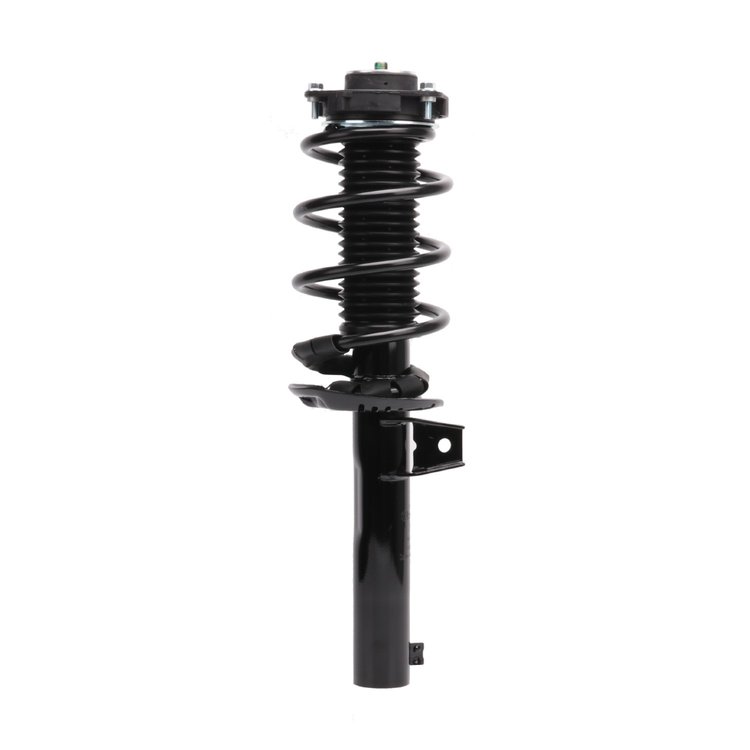 Strut Assembly