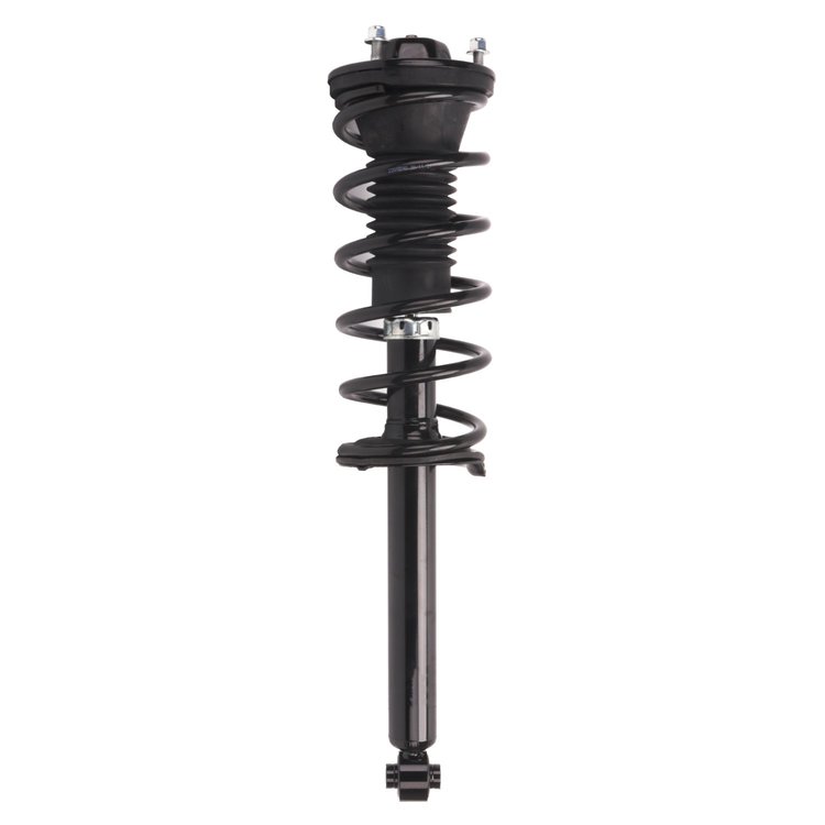 Strut Assembly