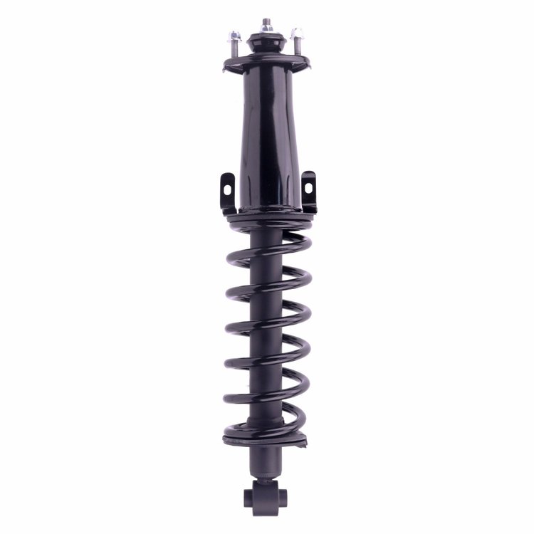 Strut Assembly