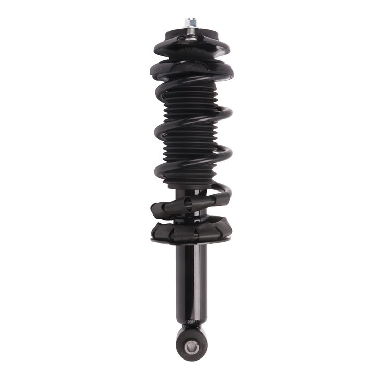 Strut Assembly