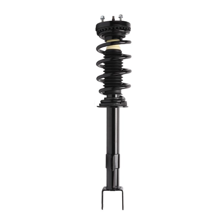 Strut Assembly