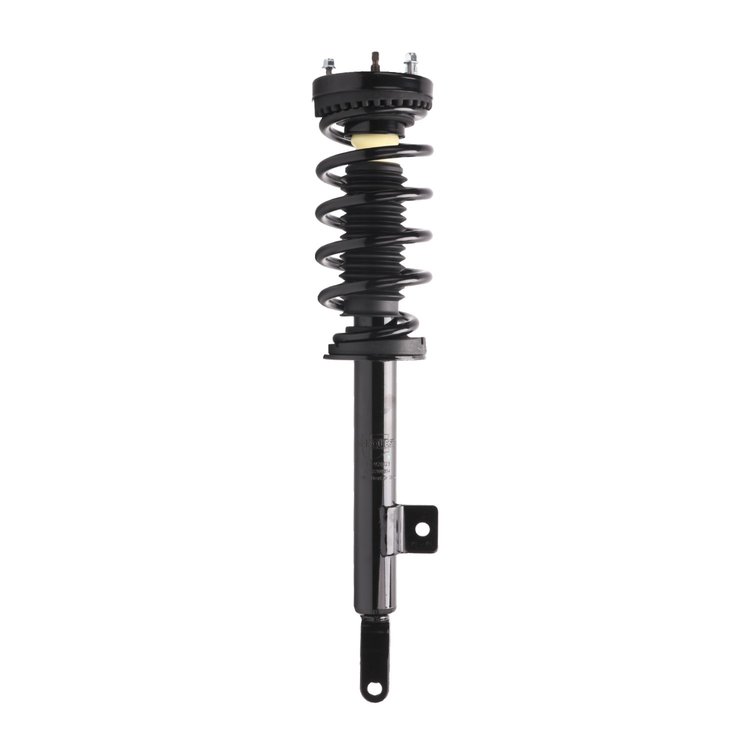 Strut Assembly