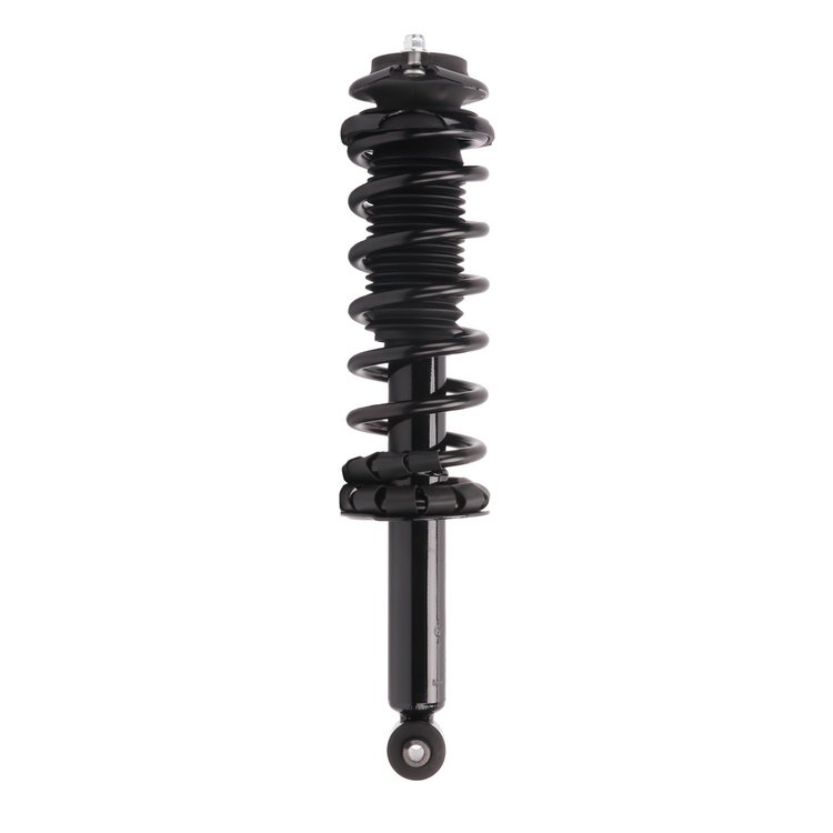 Strut Assembly