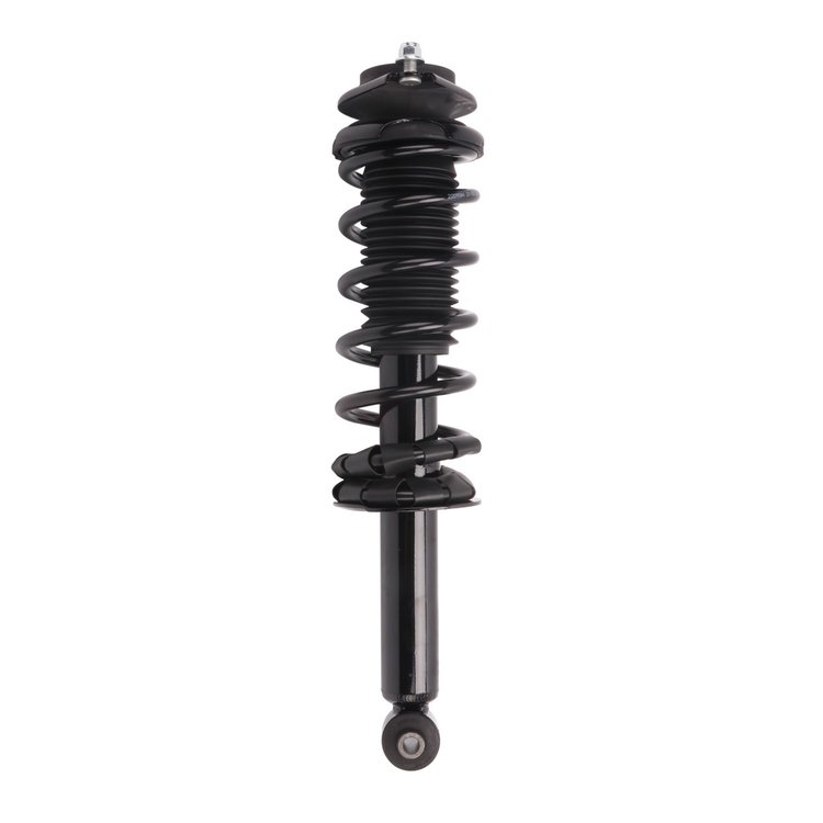 Strut Assembly