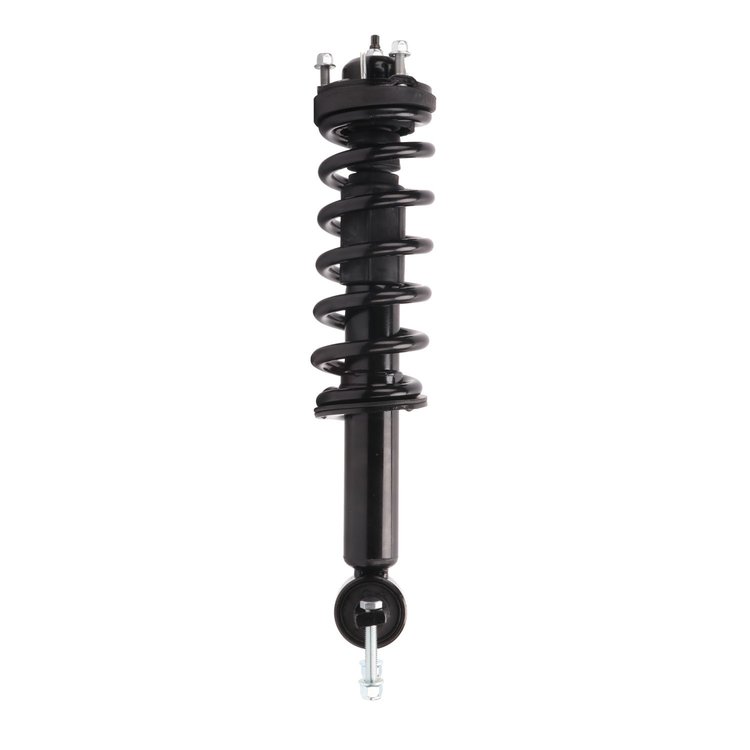 Strut Assembly