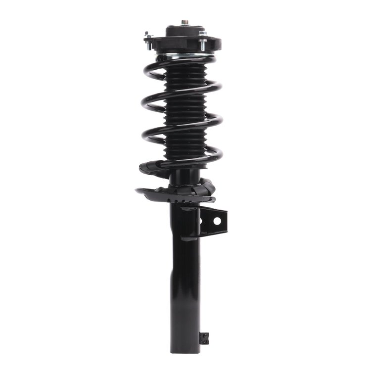 Strut Assembly