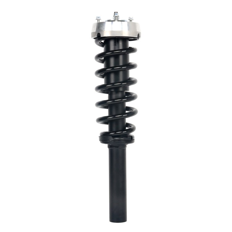 Strut Assembly