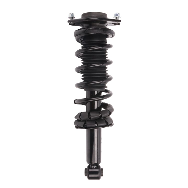 Strut Assembly