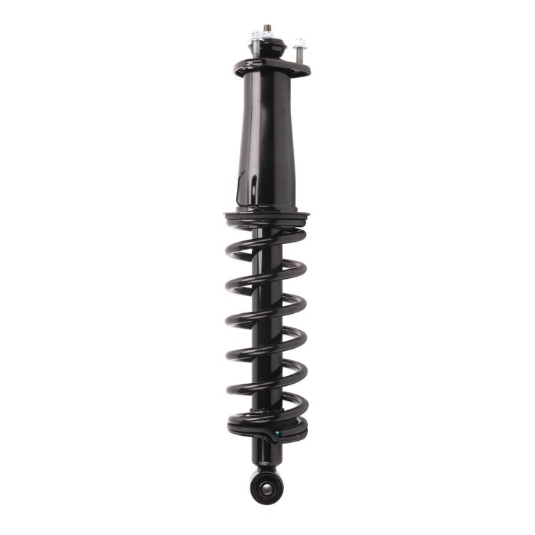 Strut Assembly
