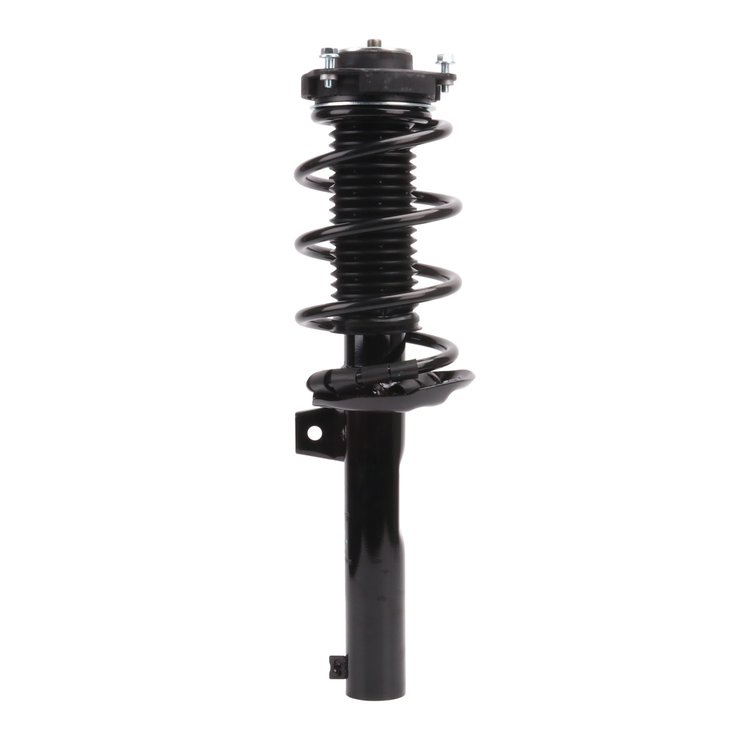 Strut Assembly