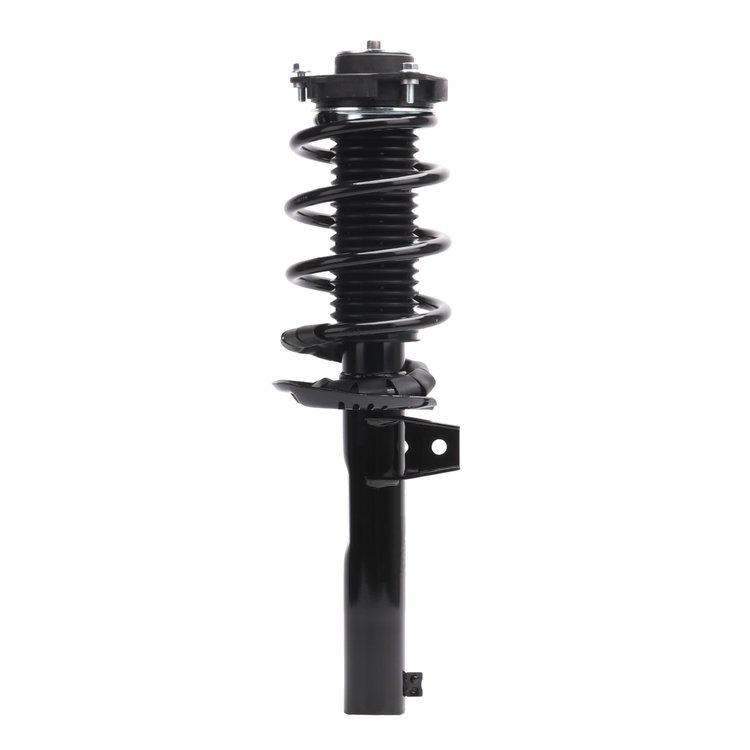 Strut Assembly