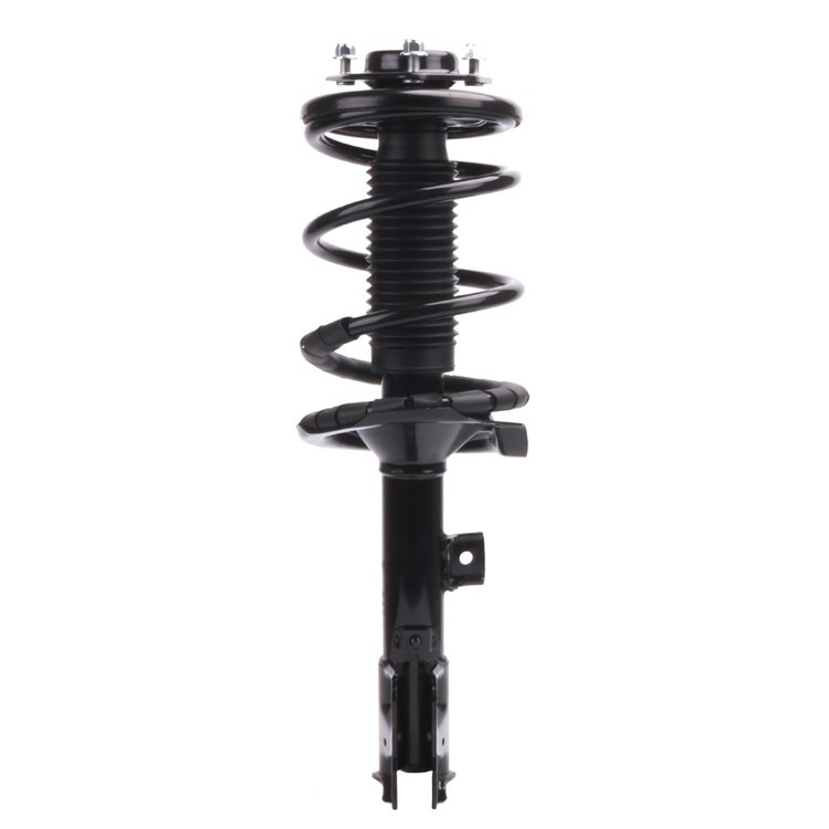 Strut Assembly