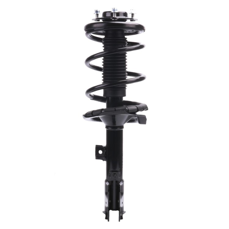 Strut Assembly
