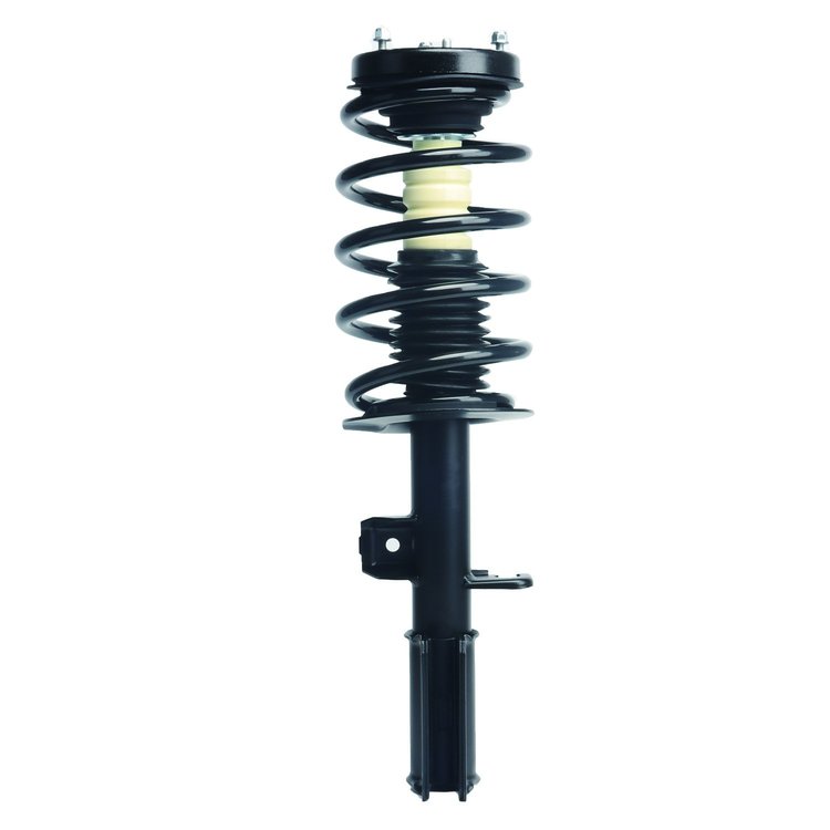 Strut Assembly