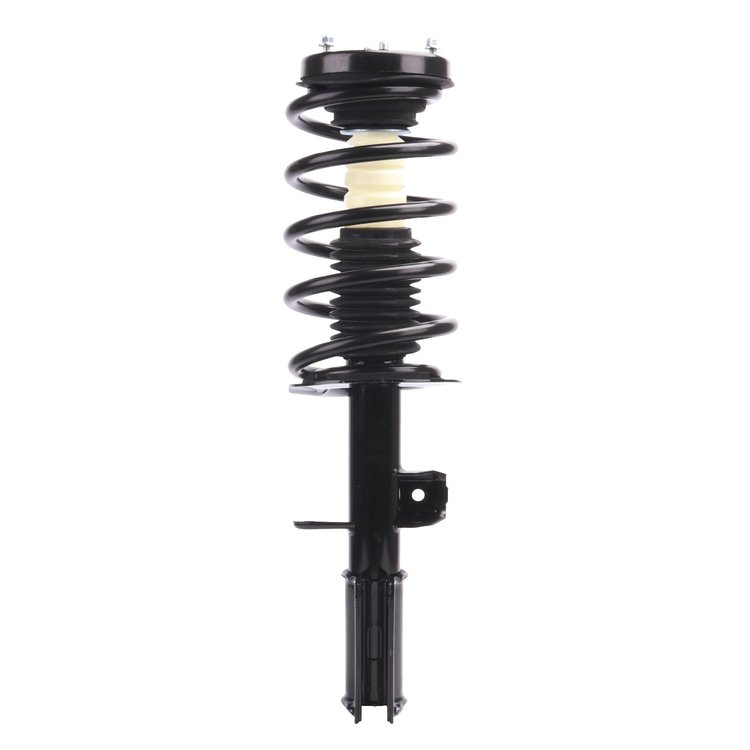 Strut Assembly