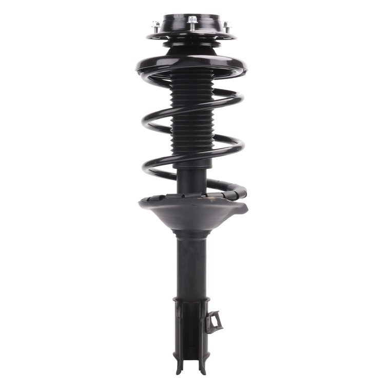 Strut Assembly