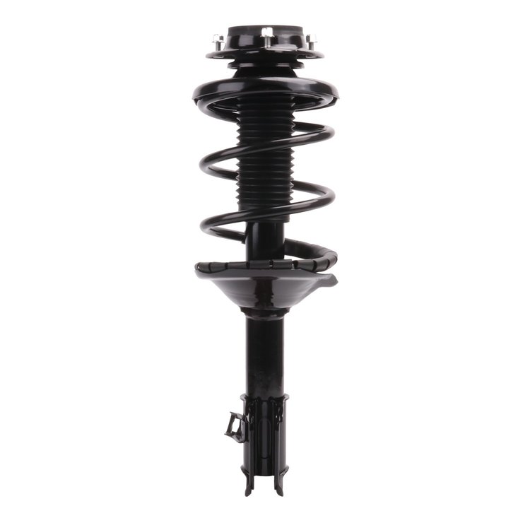 Strut Assembly