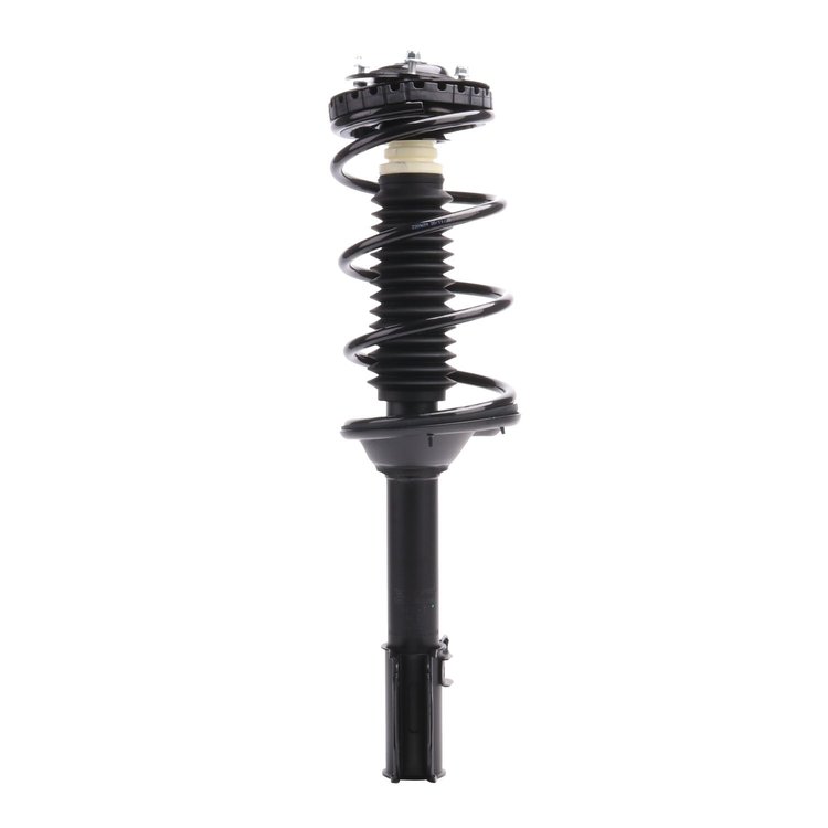 Strut Assembly