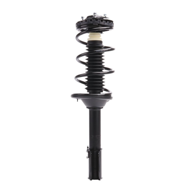 Strut Assembly