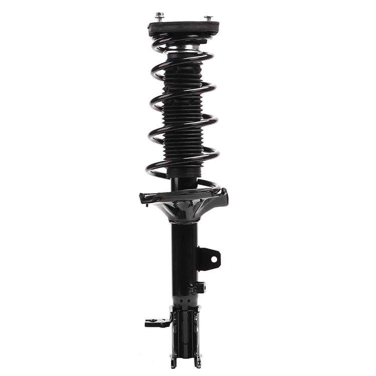 Strut Assembly