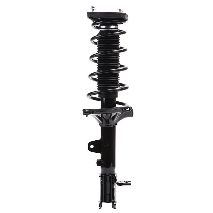 Strut Assembly