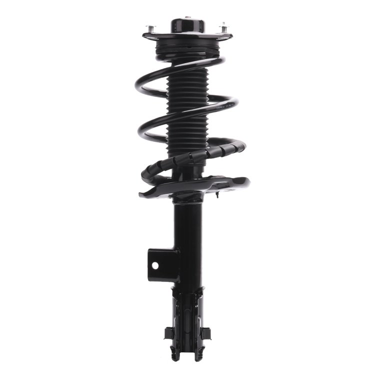 Strut Assembly