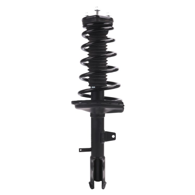 Strut Assembly