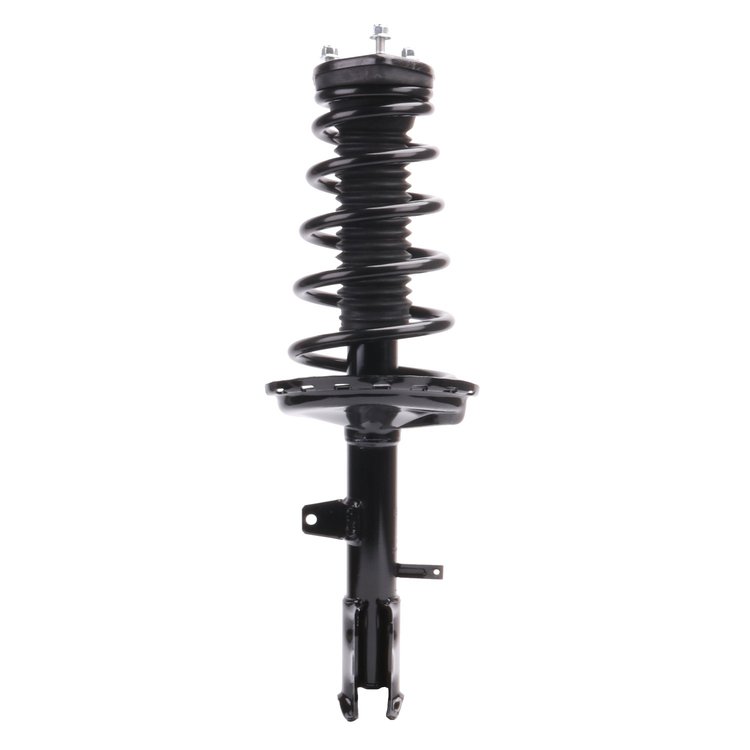 Strut Assembly