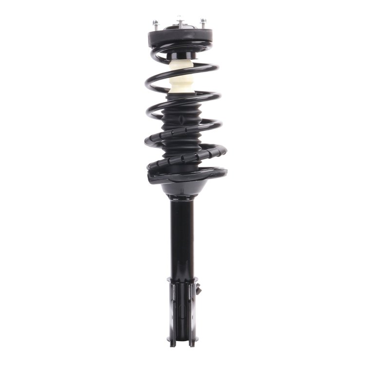 Strut Assembly