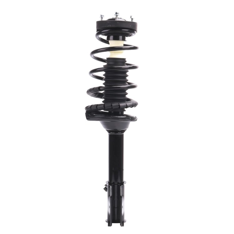 Strut Assembly