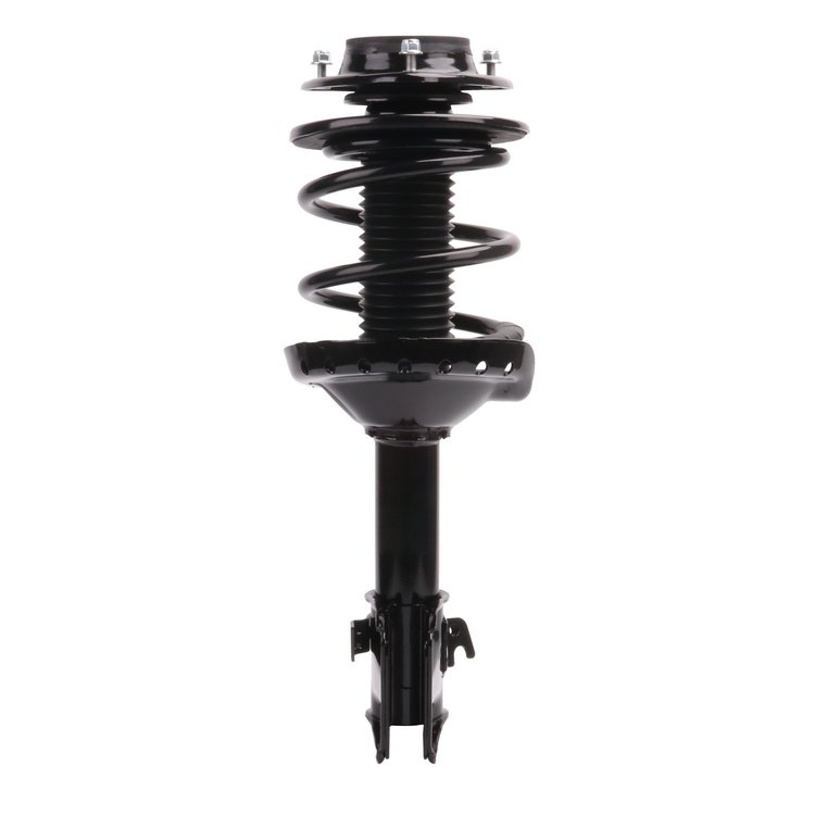 Strut Assembly