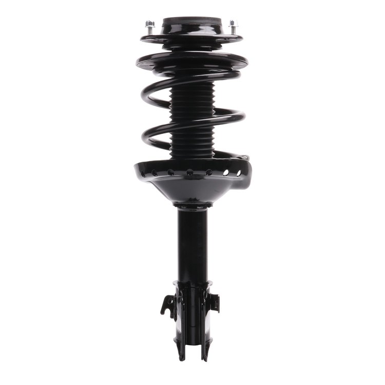 Strut Assembly