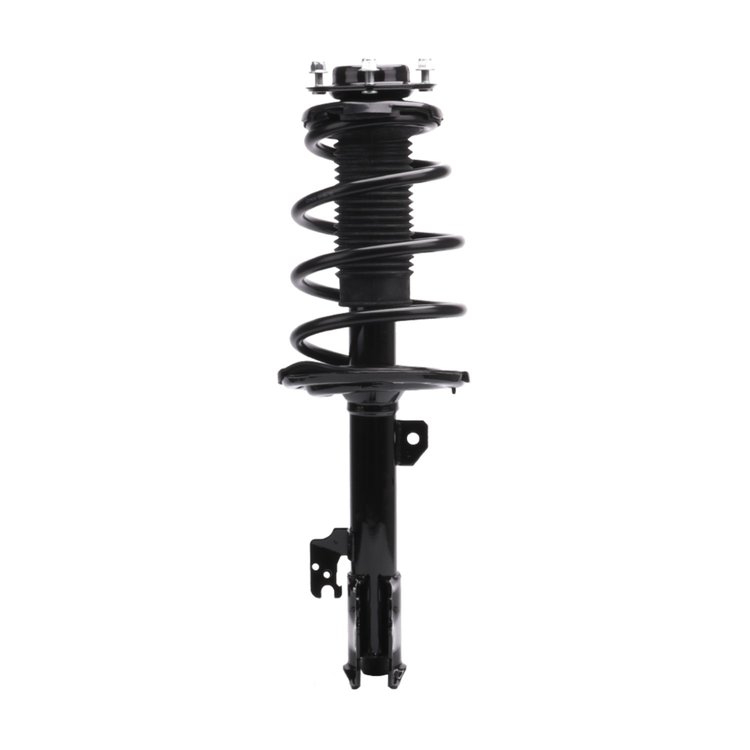 Strut Assembly